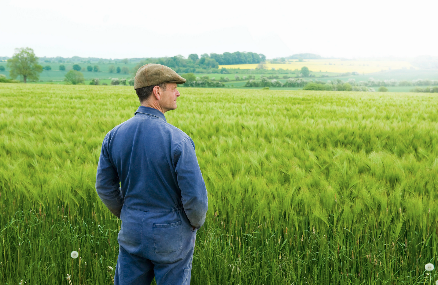 Agri Safe veut faire du jumeau numérique le laboratoire de l’agriculture de demain